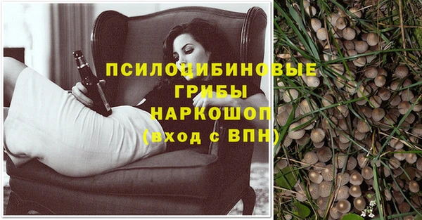 ешки Алзамай