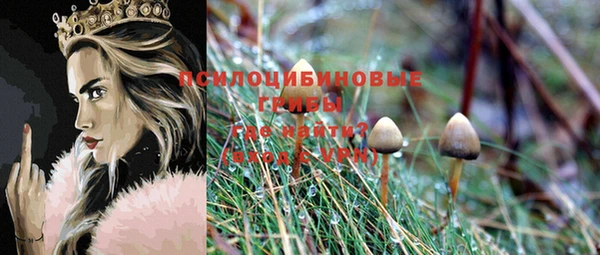 героин Алексин